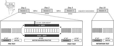 Anodal tDCS does not enhance the learning of the sequential finger-tapping task by motor imagery practice in healthy older adults